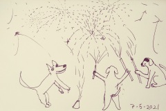 Dogs on the Fourth of July.